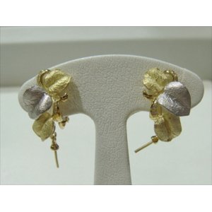 Photo: K18YG ＰＴ900/DIA EARRING