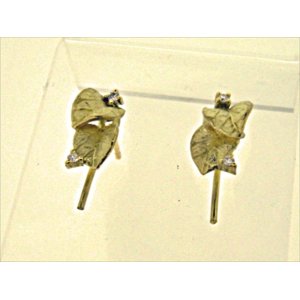 Photo: K18YG DIA EARRING