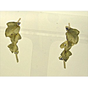 Photo: K18YG DIA EARRING